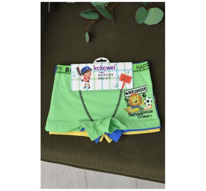 Комплект боксерів дитячих для хлопчика 3 шт 165622L