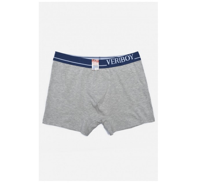 Боксеры мужские светло-серого цвета 166292L