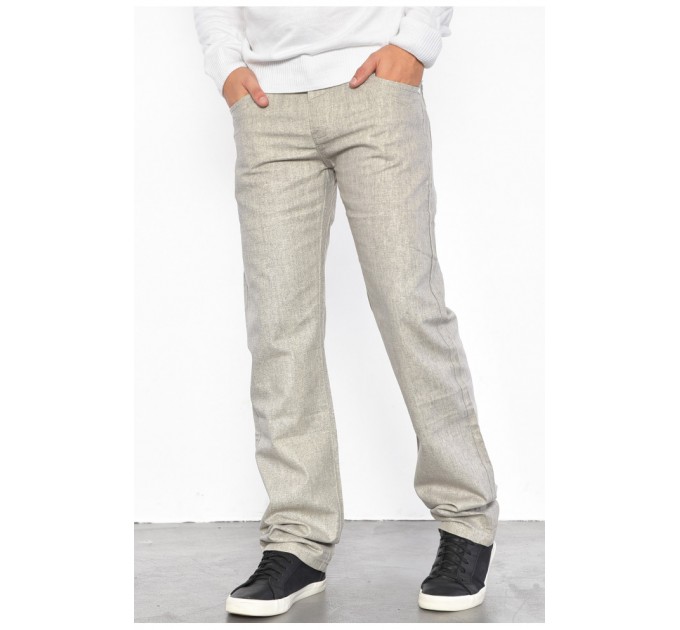 Брюки чоловічі сірого кольору 185791L