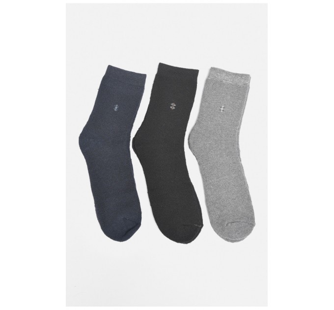 Набір шкарпеток чоловічих махрових 3 штуки 189380L