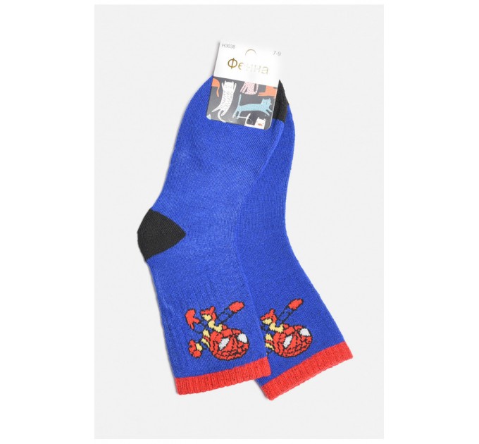 Шкарпетки дитячі махрові для хлопчика синього кольору 189469L