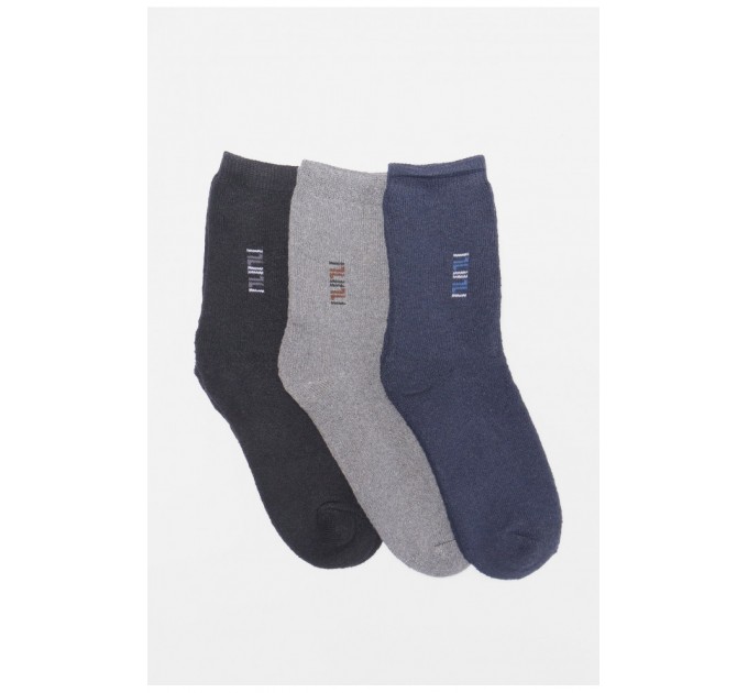 Набір шкарпеток чоловічих махрових 3 штуки 190068L