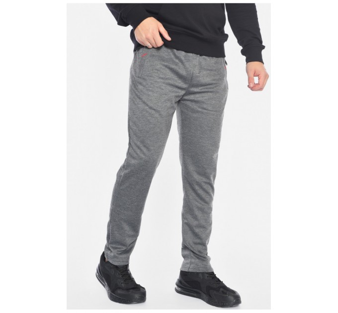 Спортивні штани чоловічі сірого кольору 192033L