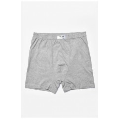 Боксери чоловічі сірого кольору однотонні 193146L