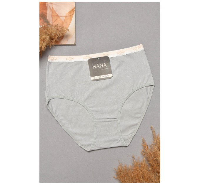 Труси жіночі напівбатальні сірого кольору 204805L