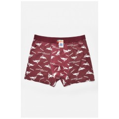 Боксери чоловічі бордового кольору 205354L