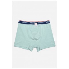 Боксери чоловічі м'ятного кольору 160244L