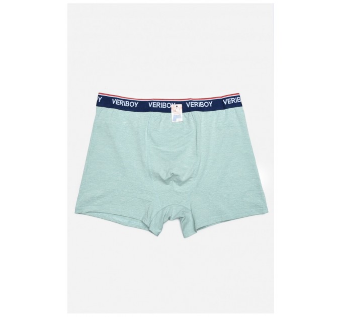 Боксеры мужские мятного цвета 160244L.