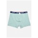 Боксеры мужские мятного цвета 160244L.