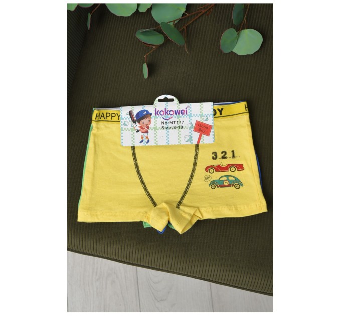 Комплект боксерів дитячих для хлопчика 3 шт 165606L