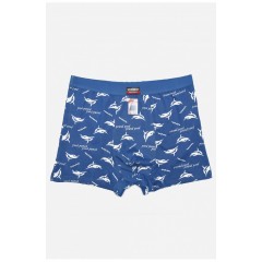 Боксери чоловічі блакитного кольору 166209L