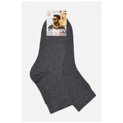 Носки мужские демисезонные серого цвета 175547L