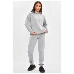Спортивний костюм жіночий на флісі сірого кольору 189089L