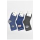 Набір дитячих шкарпеток для хлопчика 3 штуки 189490L