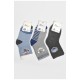 Набір дитячих шкарпеток для хлопчика 3 штуки 189491L