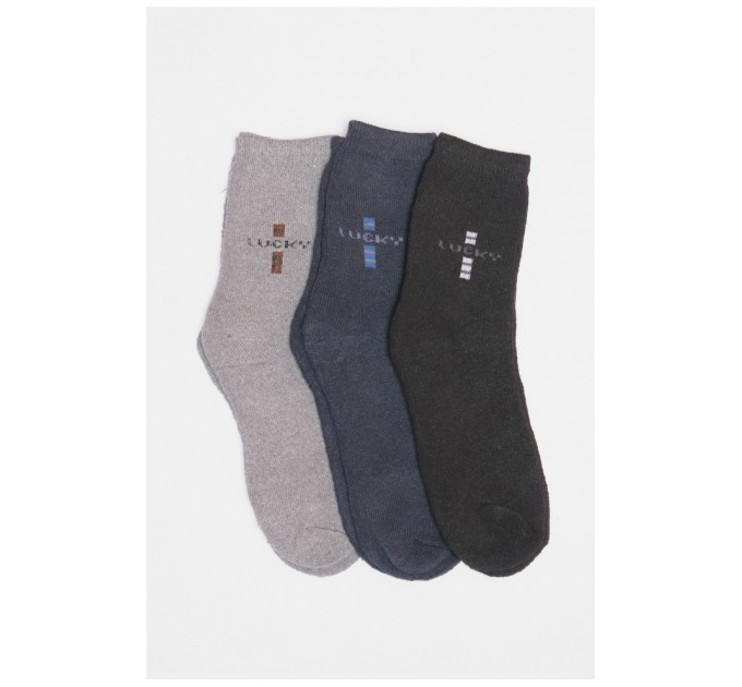 Набір шкарпеток чоловічих махрових 3 штуки 190058L