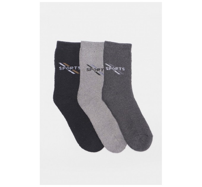 Набір шкарпеток чоловічих махрових 3 штуки 190334L