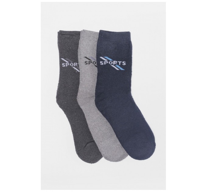 Набір шкарпеток чоловічих махрових 3 штуки 190336L