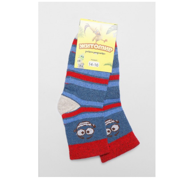 Шкарпетки підліткові синього кольору в смужку 191616L