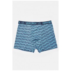 Боксери чоловічі блакитного кольору 193920L