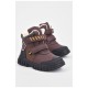 Черевики дитячі для хлопчика демісезонні коричневого кольору 194097L