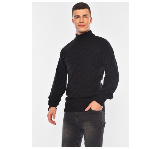 Светр чоловічий однотонний чорного кольору 194482L
