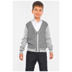 Кофта дитяча для хлопчика сірого кольору 196364L