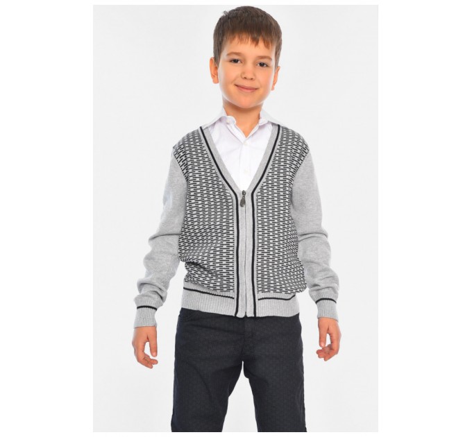 Кофта дитяча для хлопчика сірого кольору 196364L
