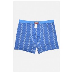 Боксери чоловічі синього кольору 196490L