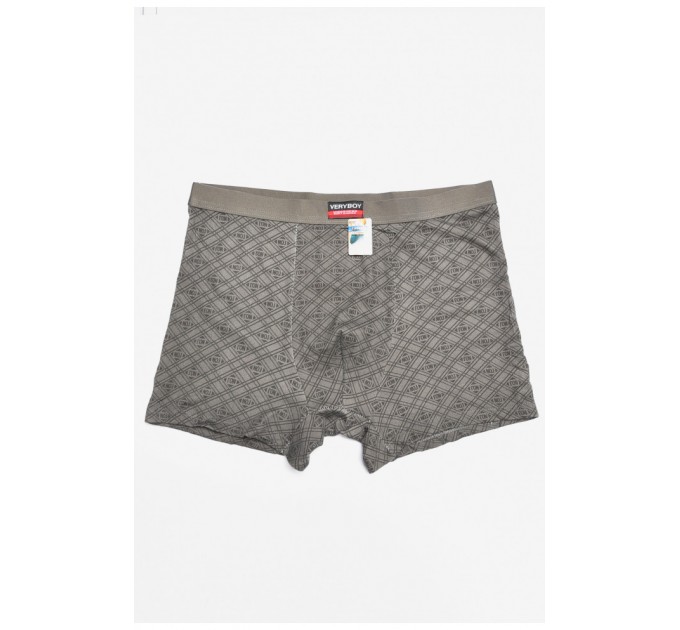 Боксеры мужские серого цвета 196491L