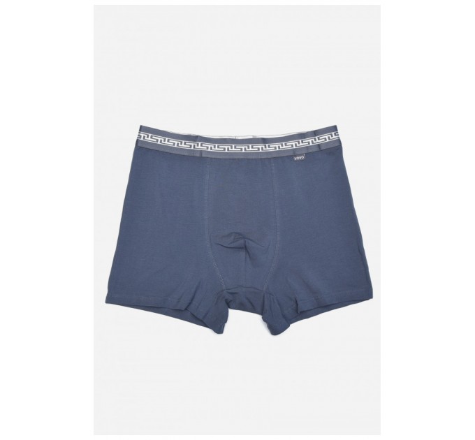 Боксери чоловічі сірого кольору 165523L