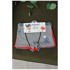 Комплект боксерів дитячих для хлопчика 3 шт 165610L