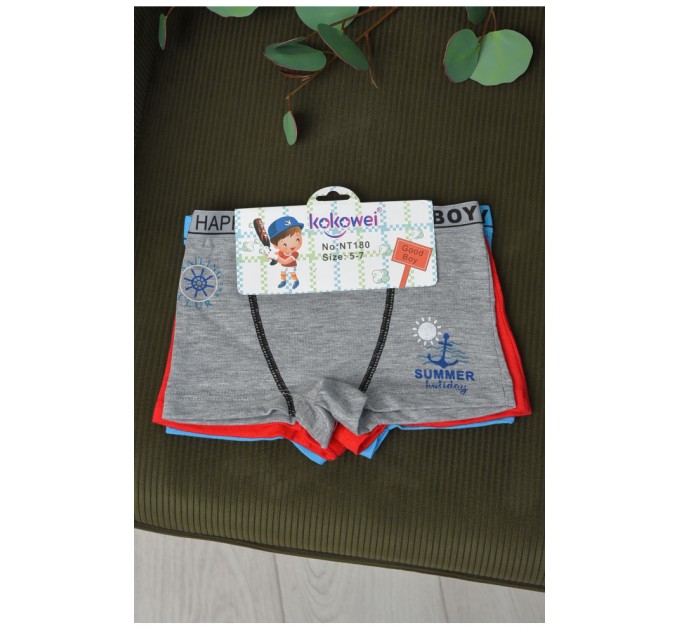 Комплект детских боксеров для мальчика 3 шт 165610L