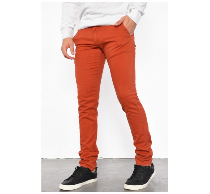 Брюки чоловічі теракотового кольору 185804L