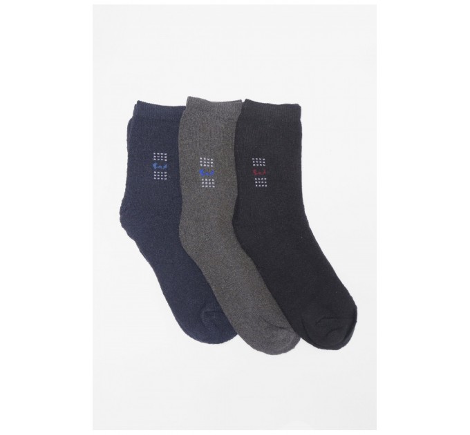 Набір шкарпеток чоловічих махрових 3 штуки 189986L