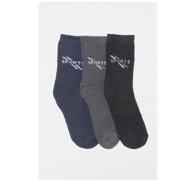 Набір шкарпеток чоловічих махрових 3 штуки 190335L