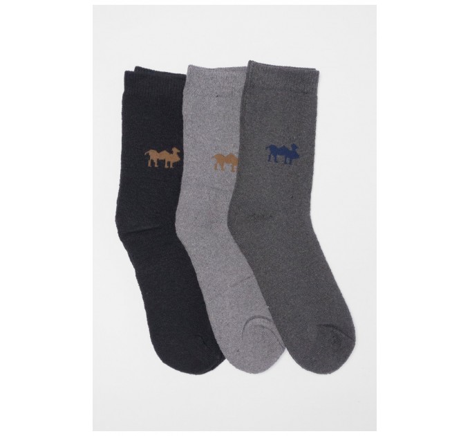 Набір шкарпеток чоловічих махрових 3 штуки 190388L