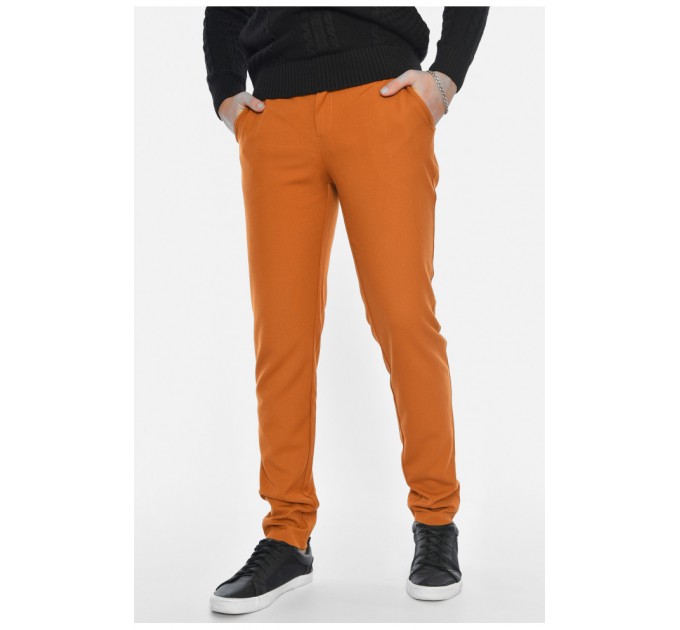 Штани чоловічі однотонні коричневого кольору 191698L