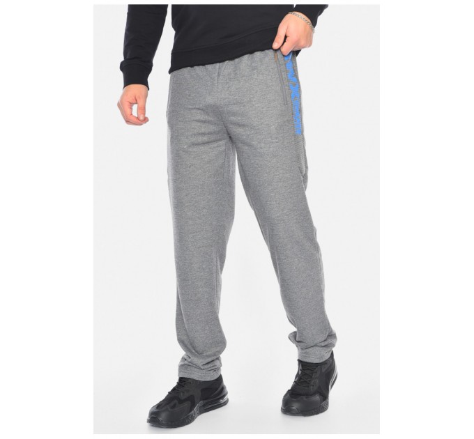 Спортивні штани чоловічі сірого кольору 191951L