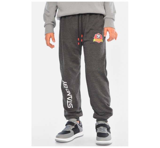 Спортивні штани дитячі для хлопчика темно-сірого кольору 192951L