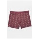 Боксери чоловічі бордового кольору 193931L
