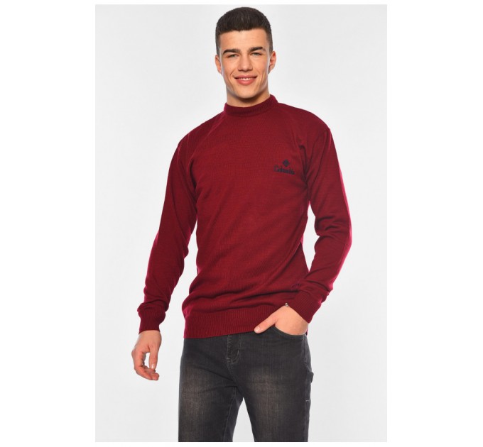 Светр чоловічий однотонний бордового кольору 194505L
