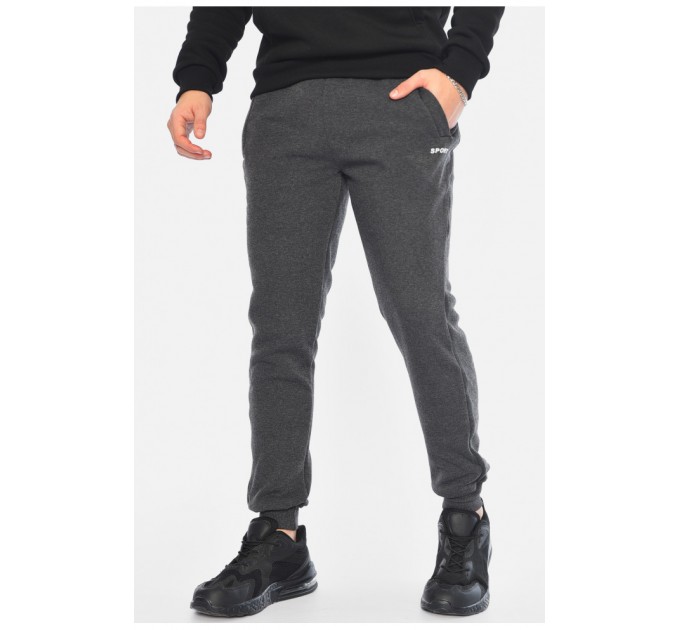 Спортивні штани чоловічі на флісі сірого кольору 196022L
