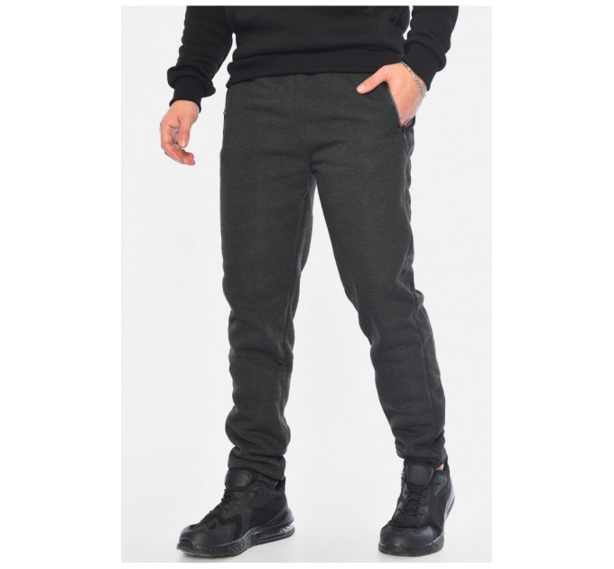 Спортивні штани чоловічі на флісі сірого кольору 196049L