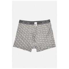 Боксери чоловічі сірого кольору 196479L