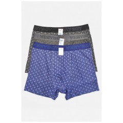 Набір чоловічих боксерів 3 штуки 196515L