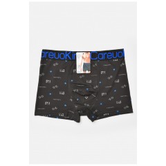 Боксери чоловічі чорного кольору з принтом 205911L