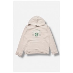 Світшот дитячий для хлопчика на флісі світло-сірого кольору 205997L