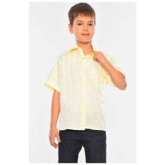 Сорочка дитяча хлопчик жовта 148974L