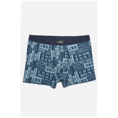 Боксери чоловічі зеленого кольору 166090L